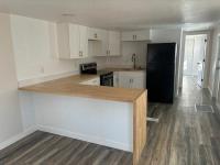 1970 Rich Mobile Home