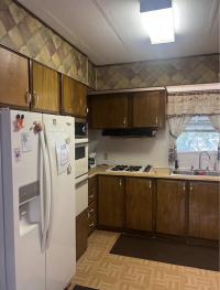 1979 Acadmey Cust Mobile Home