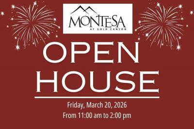 Mobile Home at 7373 East Us Highway 60,  #245 Gold Canyon, AZ 85118