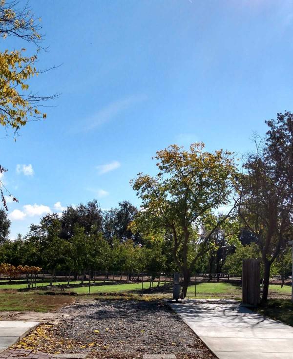  Mobile Home For Rent