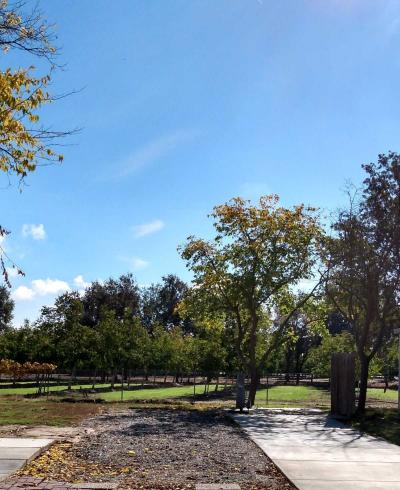 Mobile Home at 1801 State Hwy 20 Space #30 Colusa, CA 95932