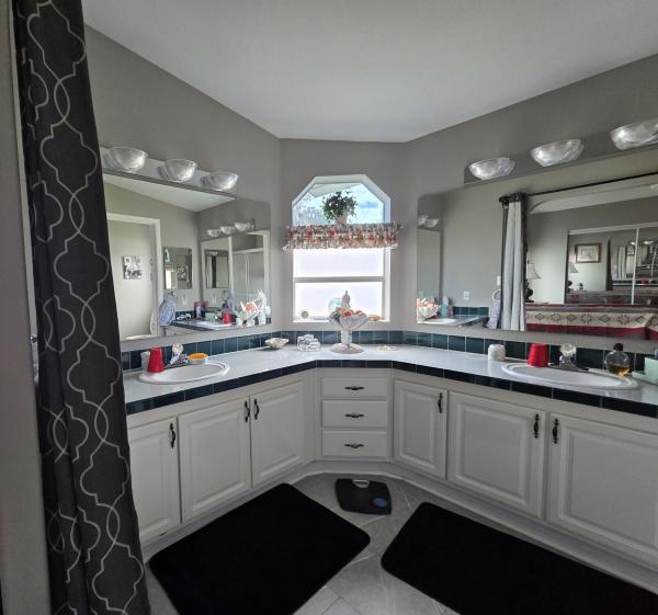 1999 Skyline Mobile Home