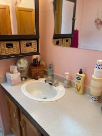 1998 Skyline Manufactured Home