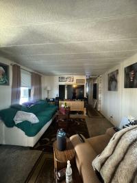 1969 Star Mobile Home