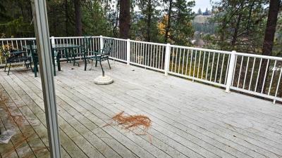 Photo 2 of 12 of home located at 2311 W 16th Ave, #63 Spokane, WA 99224