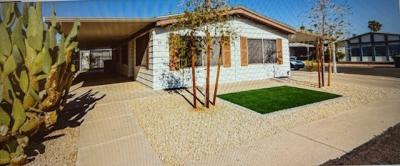Mobile Home at 245 S. 56th Street #75 Mesa, AZ 85206