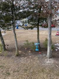 2023 Commadore Mobile Home