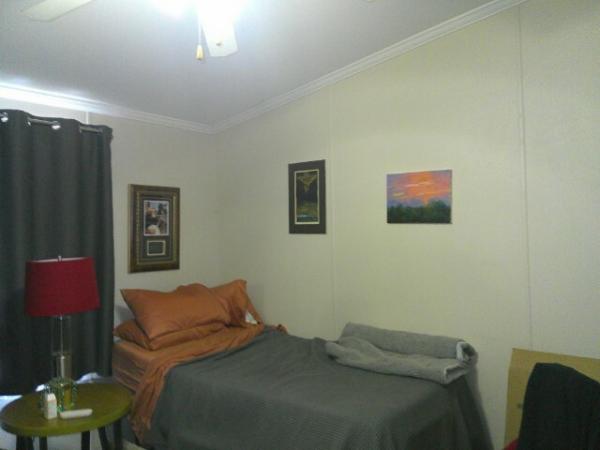 2009 Skyline Manufactured Home