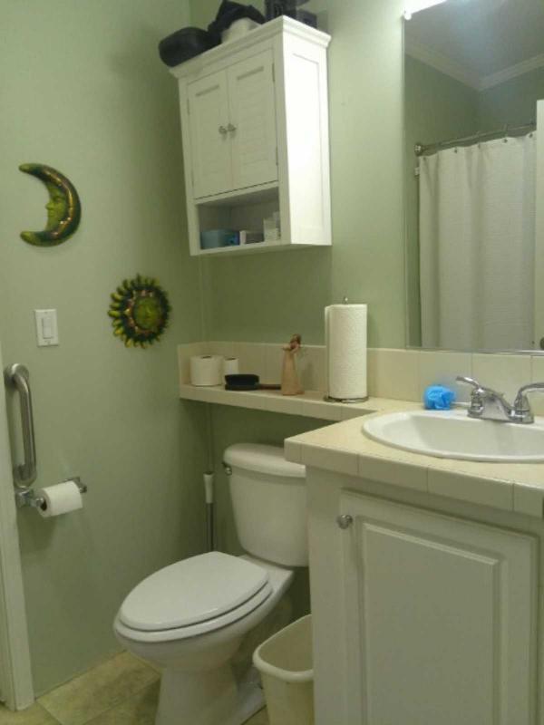 2009 Skyline Manufactured Home