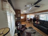1996 CHAM TV Mobile Home