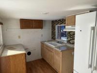 Mobile Home