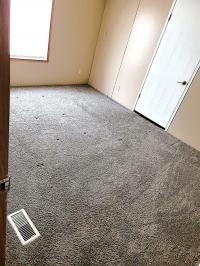 2005 Fleetwood  Festival (2663L)  Home