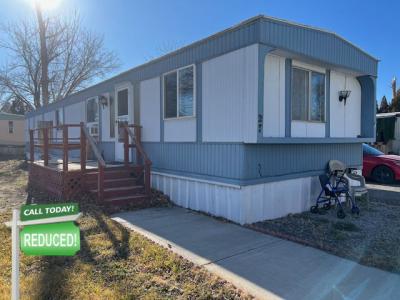Mobile Home at 101 Lincoln Hwy #37 Wadsworth, NV 89442