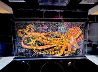 2003 Palm Harbor F7630206SA Mobile Home