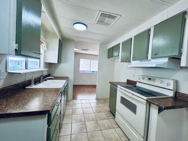 1982 Skyline Manufactured Home