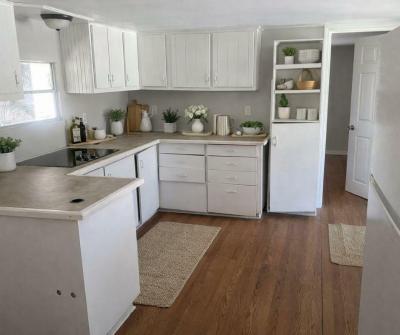 Photo 2 of 13 of home located at 19 Circle Dr Mount Dora, FL 32757