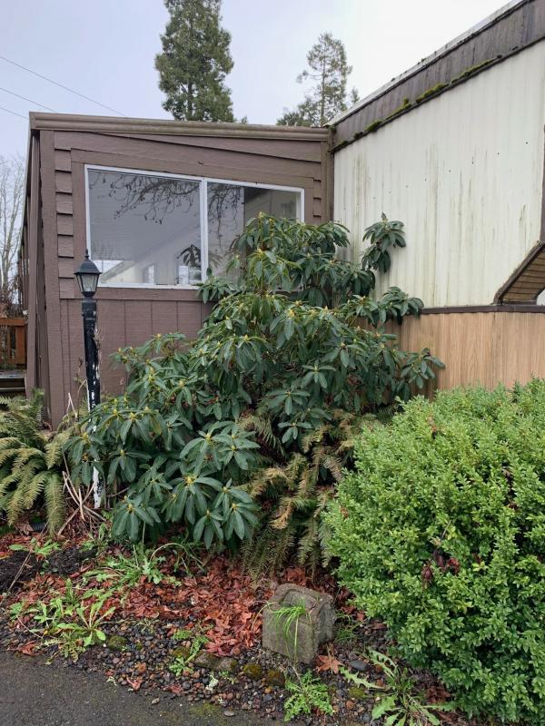 1984 Kings Highway  Home