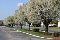 2018 Champion DD1672 CA1L Mobile Home