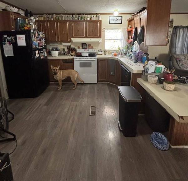 Photo 1 of 2 of home located at 411 South Grover Avenue, Lot #5 Alma, MI 48801