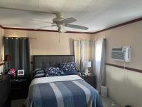 1967 Skyline Mobile Home