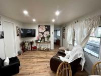 1970 Delo Mobile Home