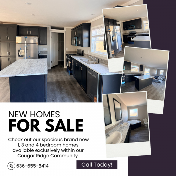 2025  Mobile Home For Sale