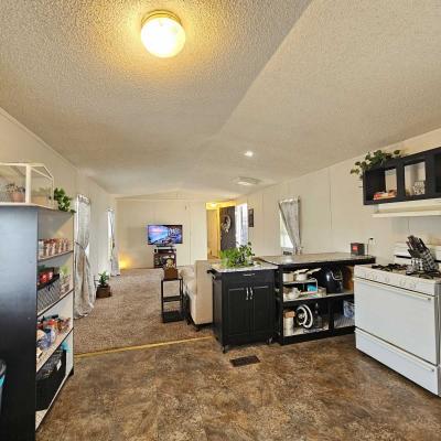 Photo 5 of 18 of home located at 81 Laine Wy Fernley, NV 89408