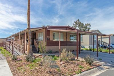 Mobile Home at 6300 W. Tropicana Ave. Las Vegas, NV 89103