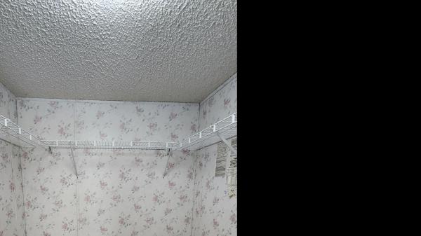 1995 Skyline all Mobile Home