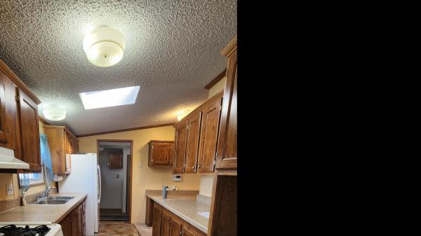 1995 Skyline all Mobile Home