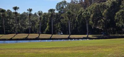 Photo 2 of 8 of home located at 16801 Okoboji Lane Odessa, FL 33556