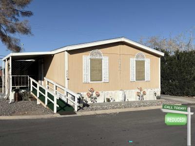 Mobile Home at 2800 S. Lamb #228 Las Vegas, NV 89121