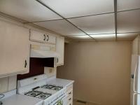 1980 Lakewood Manufactured Home