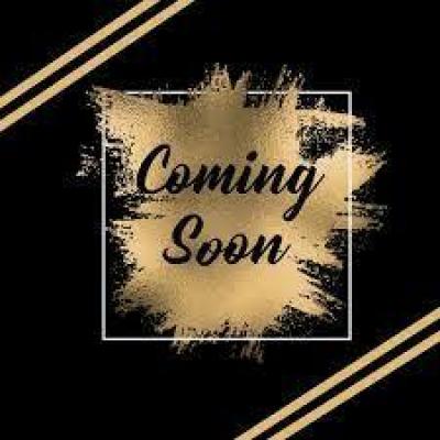 Mobile Home at 1001 Mayflower Road #29 South Bend, IN 46619