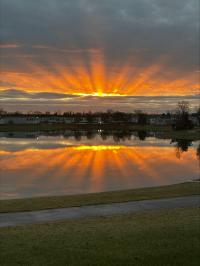 2024 Champion Cedar Cove Mobile Home