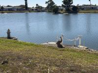 1977 Clas HS Mobile Home