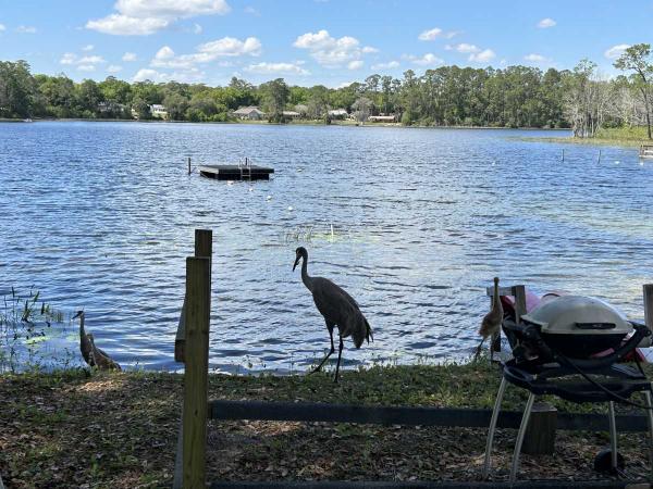 1987 SUNC Mobile Home