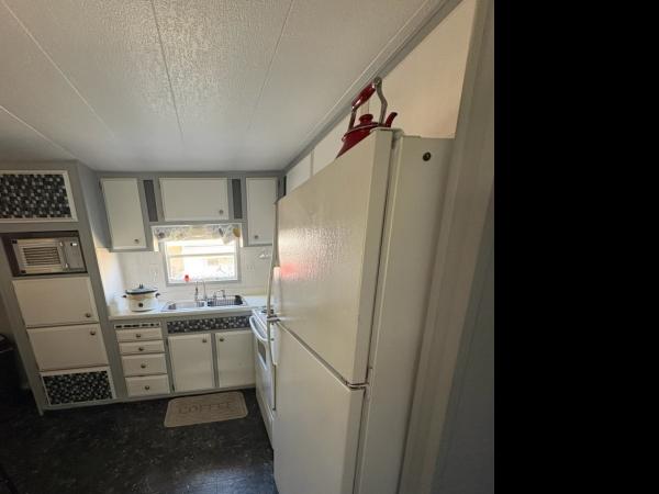 1972 2BD/2BA Mobile Home