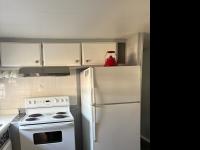 1972 2BD/2BA Mobile Home