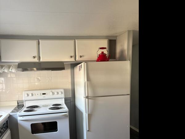 1972 2BD/2BA Mobile Home
