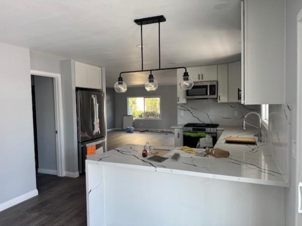 1977 Skyline Mobile Home