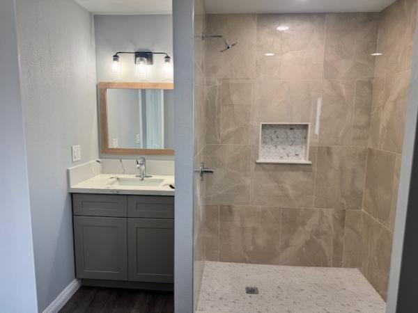 1977 Skyline Mobile Home