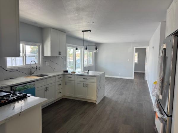 1977 Skyline Mobile Home