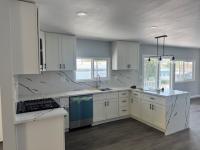 1977 Skyline Mobile Home