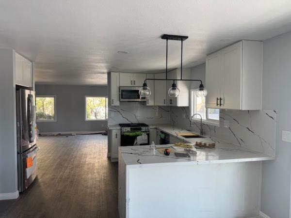 1977 Skyline Mobile Home