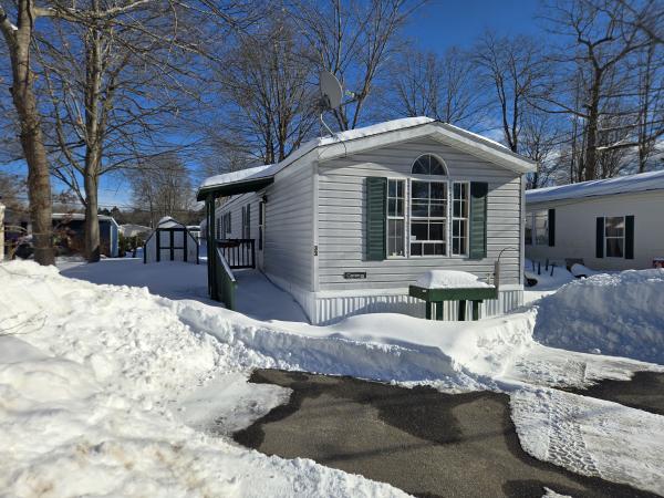 1991 Skyline Mobile Home For Sale