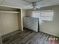 1972 SHLBY  Home