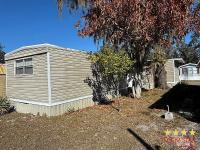 1972 SHLBY  Home