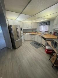 1976 Baron Mobile Home