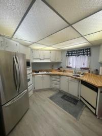 1976 Baron Mobile Home